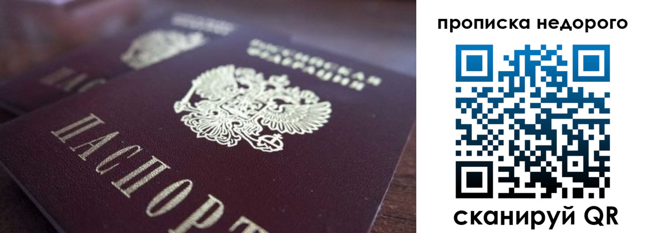 прописка штамп в Раменском